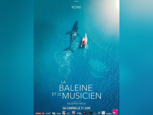 La Baleine et le musicien : Rone dialogue avec les cétacés au cinéma