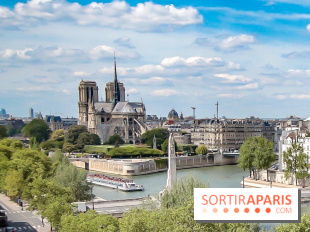 Parvis de Notre-Dame : les quatre projets de réaménagement dévoilés par la Mairie de Paris