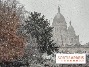 La Neige à Paris - IMG 2865