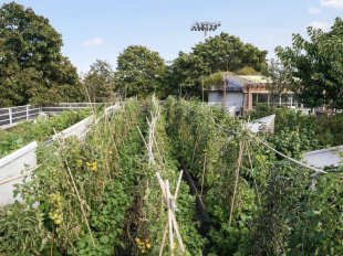 Ferme Suzanne