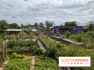 Terre Terre, la ferme-guinguette qui pousse au bord du canal à Aubervilliers (93)