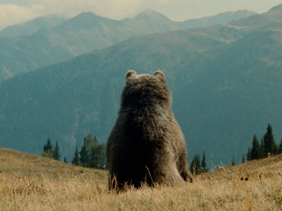 L'Ours, l'inoubliable film de Jean-Jacques Annaud ressort au cinéma en version restaurée