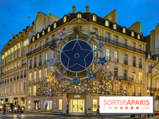 Les illuminations de Noël 2025 de la Maison Dior au 30 Montaigne dès ce week-end à Paris - le thème