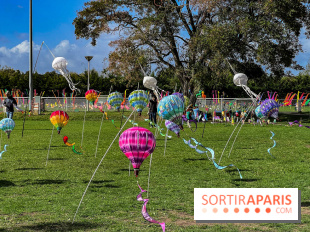 Festival de l'Air 2025 à Montesson (78) : montgolfière, cerfs-volants et concert gratuit en octobre