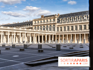 visuel Paris visuel  -  palais royal - colonnes de buren