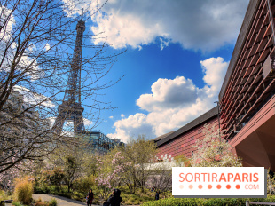 Visuel Paris, tour eiffel - Musée du Quai Branly