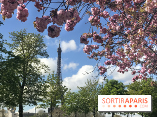 Visuel Paris, Tour Eiffel printemps