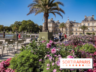 Visuel Paris jardin du luxembourg