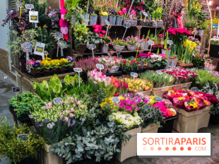 Visuel Paris marché d'Aligre fleurs