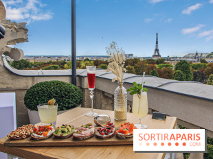 Visuel Paris Tour Eiffel rooftop Crillon
