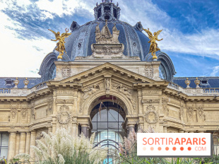Visuel Paris Petit Palais