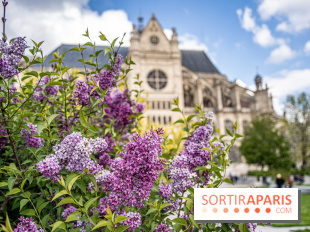 Visuel Paris Jardin Nelson Mandela Eglise Saint Eustache