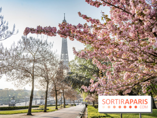 Visuel Paris Tour Eiffel cerisiers en fleurs