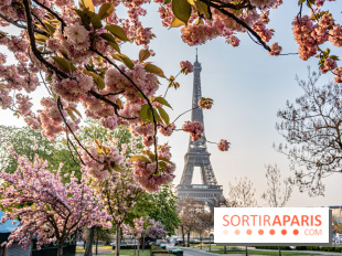 Visuel Paris Tour Eiffel cerisiers en fleurs