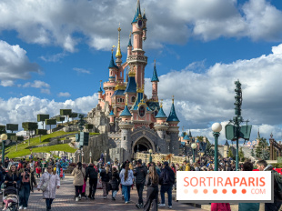 Visuels Disneyland Paris - chateau