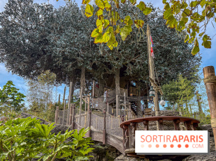 Visuels Disneyland Paris - La Cabane des Robinson