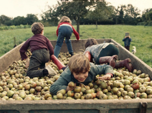 Madeleine de Sinéty