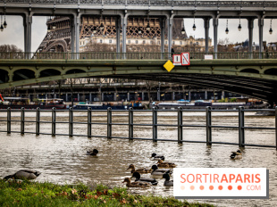 La Seine en crue février 2021