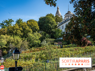 Montmartre Paris - fete des vendanges