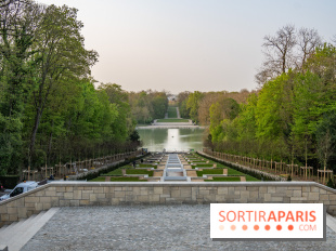 Le Parc de Sceaux et ses cerisiers en fleurs
