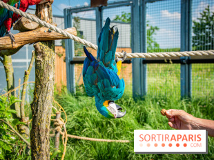 Parrot World, le parc animalier immersif d'Île-de-France