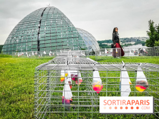 Les Extatiques 2021 : l'exposition en plein air gratuite à voir à La Défense et à la Seine Musicale