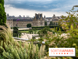 Visuel Paris, vue du Meurice suite Etoile - Jardin des Tuileries