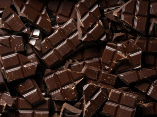 Impérial Chocolat 2023 au Château de Fontainebleau