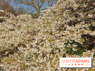 La Fête des sens s'invite au Jardin des Plantes