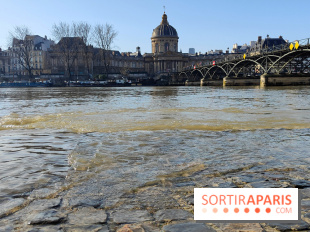 Visuel actualités - Crue Seine Pont des Arts