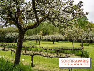 Le Château de Saint-Jean de Beauregard et son Jardin remarquable