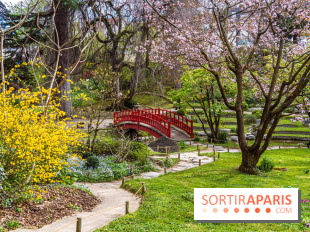 Les jardins du Musée Albert Kahn, nos photos