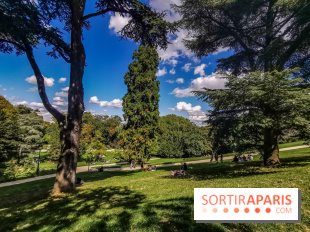 Photos : Le Parc des Buttes Chaumont