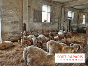 Le Château de Rambouillet et sa Bergerie nationale, un domaine d'exception en Ile-de-France