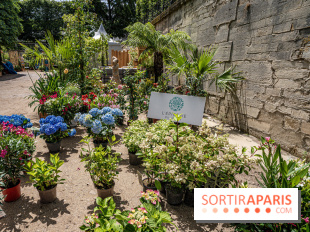 Jardins jardin aux Tuileries 2022