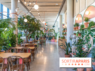 Titi Palacio, bar-restaurant festif à la Félicité 