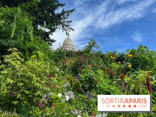 Visuels Paris - montmartre sacré cœur