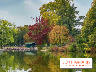 Bois de Vincennes automne