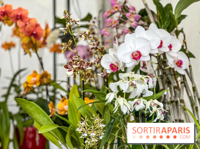 Esprit Jardin à Versailles - Marché aux plantes et animations
