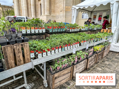 Esprit Jardin à Versailles - Marché aux plantes et animations  - IMG 6097