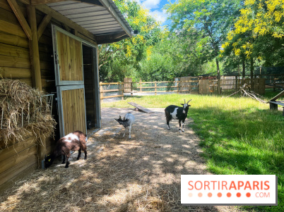 La ferme de la Villette et ses animaux