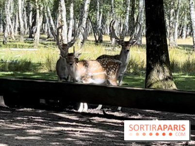 Espace Rambouillet - IMG 4544