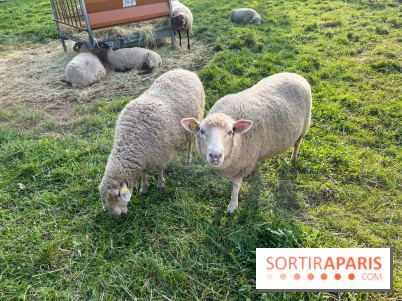 La ferme pédagogique du parc des Chanteraines