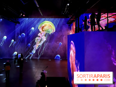 Océans, l'Odyssée Immersive à l'Atelier des Lumières