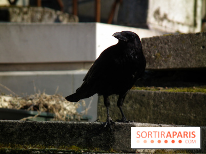 Le Père Lachaise, le cimetière le plus mythique de Paris et ses tombes de personnalités célèbres