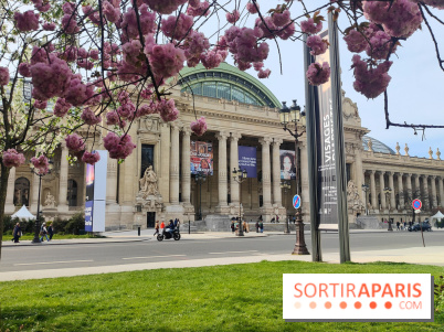 Visuel Paris 8e - Grand Palais printemps 