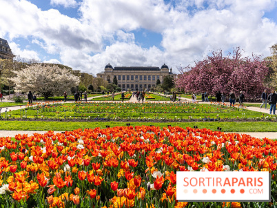 Visuel Paris 5e -  jardin des plantes - museum - printemps - fleurs