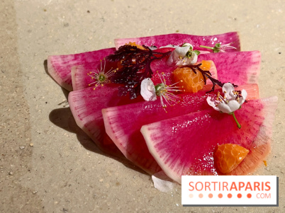 Datil - Radis, Saint-Jacques, ail