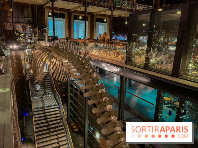 Grande Galerie de l'évolution- visuels 2024 - image00076