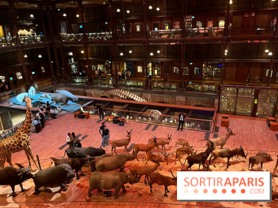 Grande Galerie de l'évolution- visuels 2024 - image00033